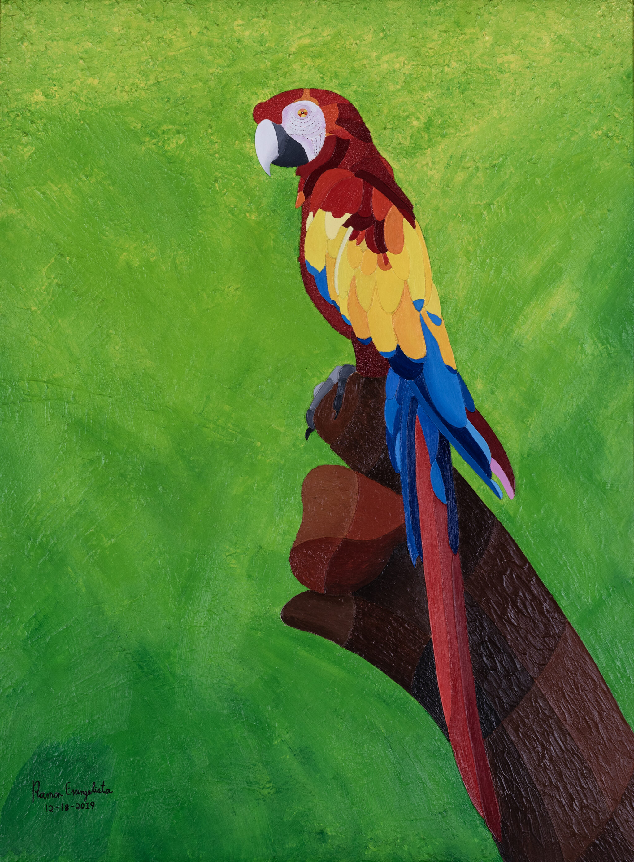 5-Scarlet-Macaw