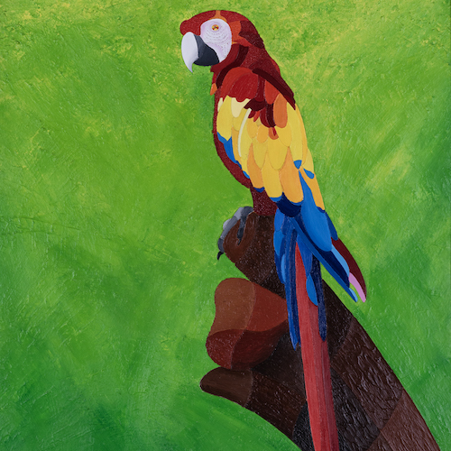 No. 5 Scarlet Macaw