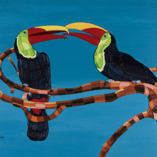 No. 9 Courting Toucans